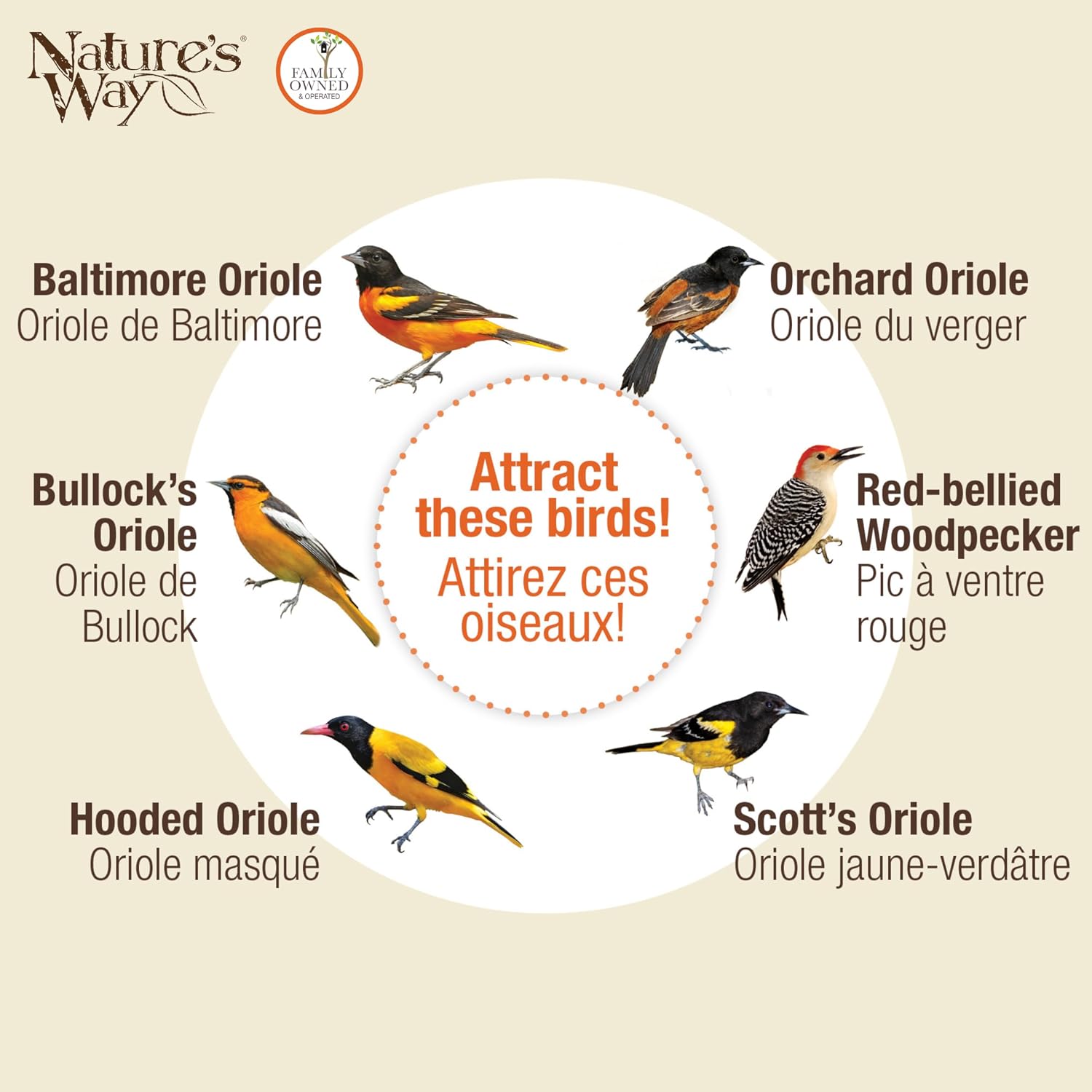 Nature's Way OFM1 Wire Oriole Feeder