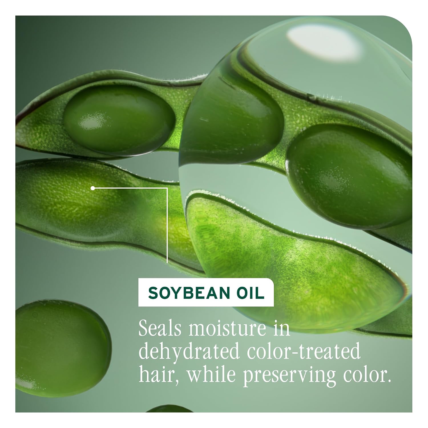 Biolage Color Last Conditioner – For Color-Treated Hair | Vegan, paraben-free, protects depth, hydrates, repairs damage, adds shine and vibrancy