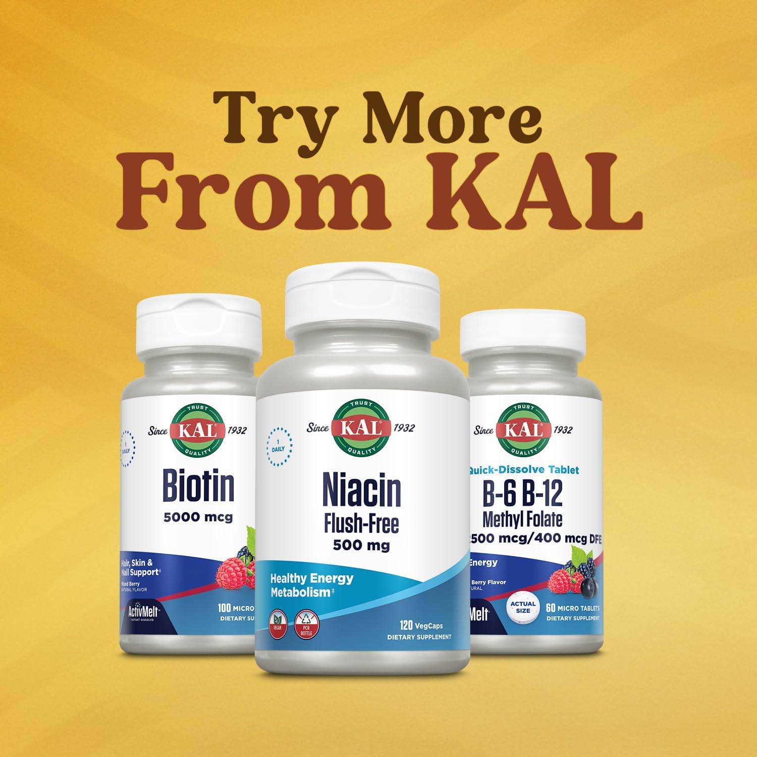 KAL Vitamin B-6 B-12 Folic Acid DropIns, Liquid Vitamin B Supplement Drops, Heart Health, Energy, Red Blood Cell Support with Methyl B12 and Methyl Folate, Natural Mixed Berry Flavor, 59 Servings, 2oz | Cardiovascular, Energy & Nerve Support - Active P-5…