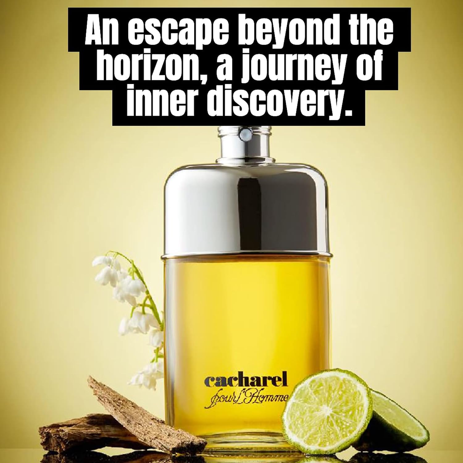 Cacharel Pour L'Homme Eau de Toilette Cologne for Men, Woody, Spicy and Floral Fragrance, Notes of Bergamot, Lily of the Valley Accord and Cedar Wood