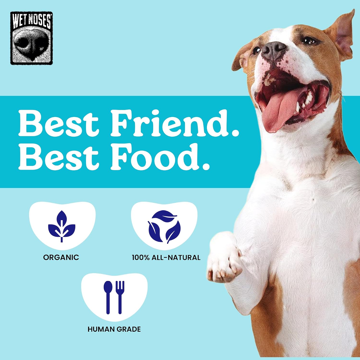 Wet Noses Organic Crunchy Dog Treats – All-Natural, Human-Grade, Non-GMO, Healthy Training & Delicious Snacks for Dogs