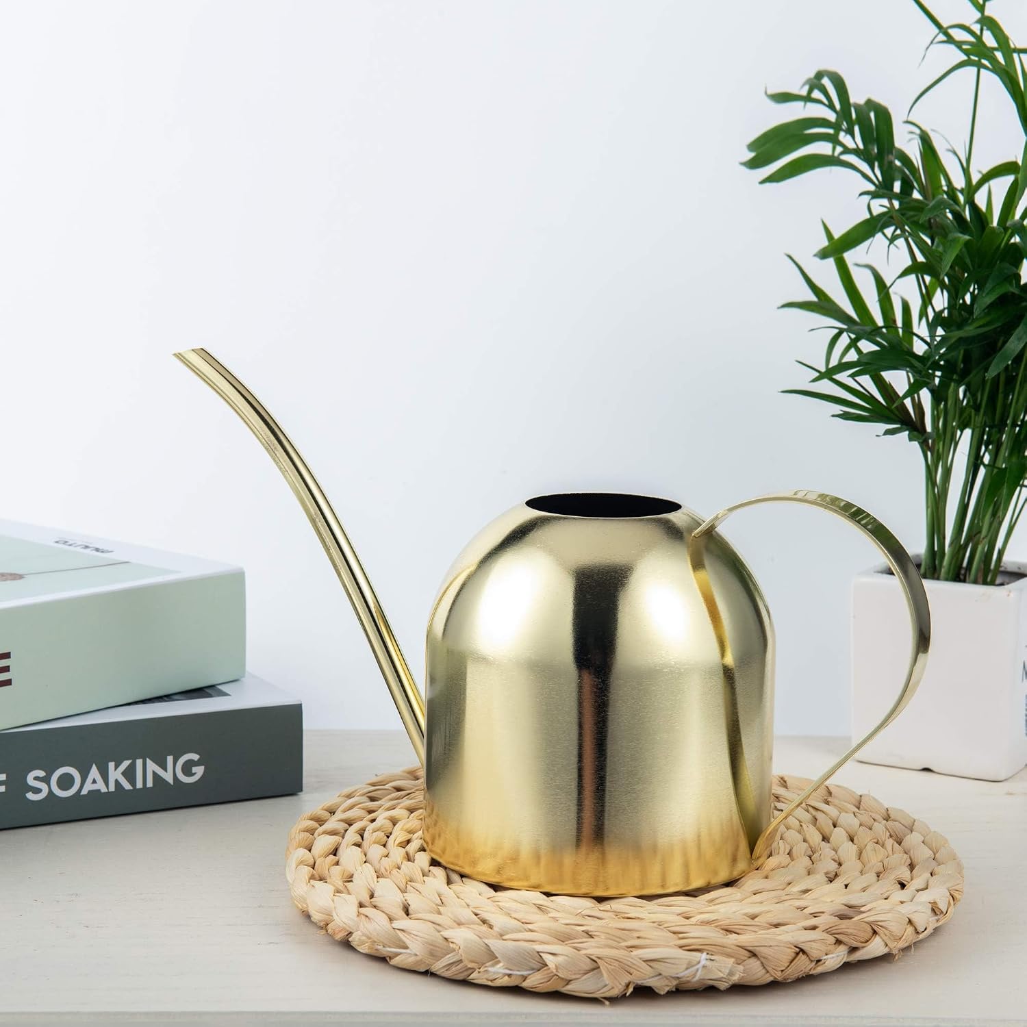 IMEEA Indoor Watering Can for House Plants 33oz/1L Brushed Stainless Steel Watering Can with Long Spout for Succulents, Bonsai
