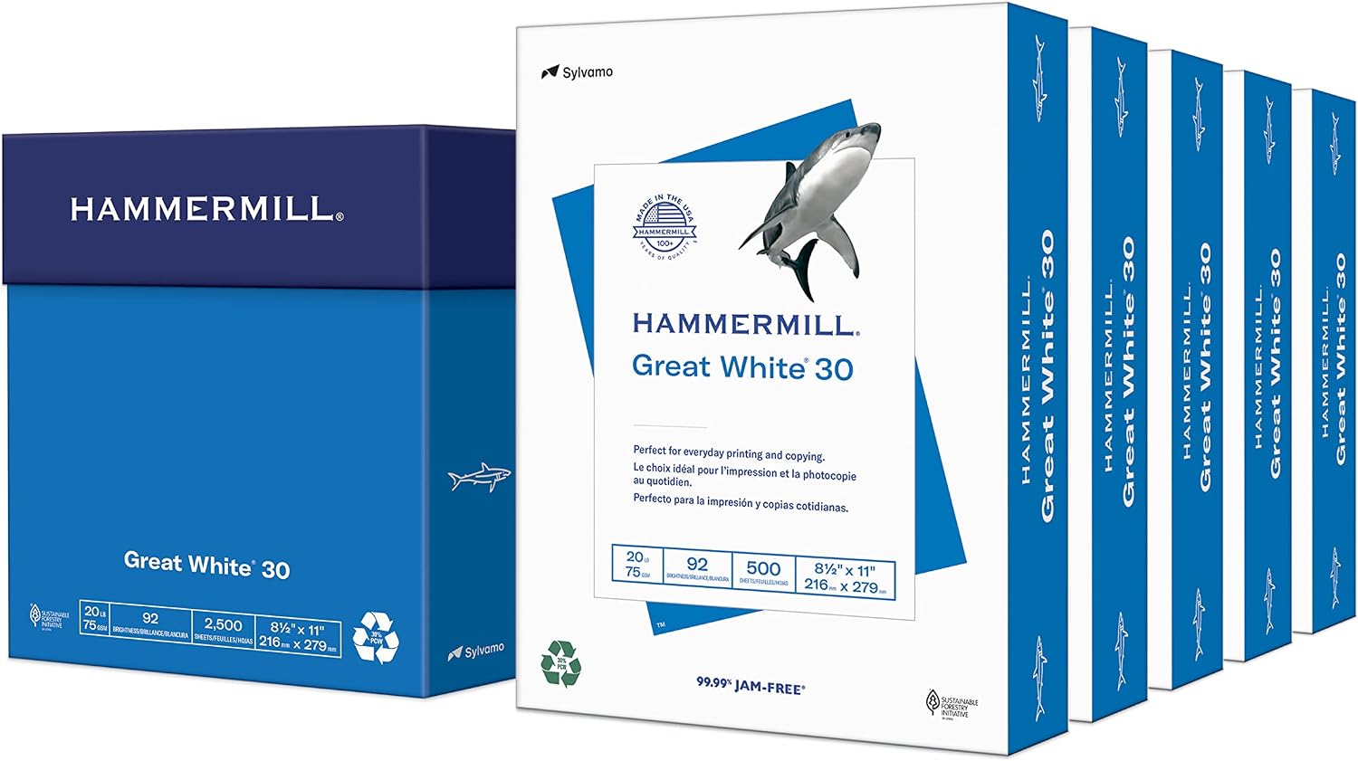 Hammermill Printer Paper, Great White 30% Recycled Paper, 8.5 x 11-1 Ream (500 Sheets) - 92 Bright, Made in the USA, 086710