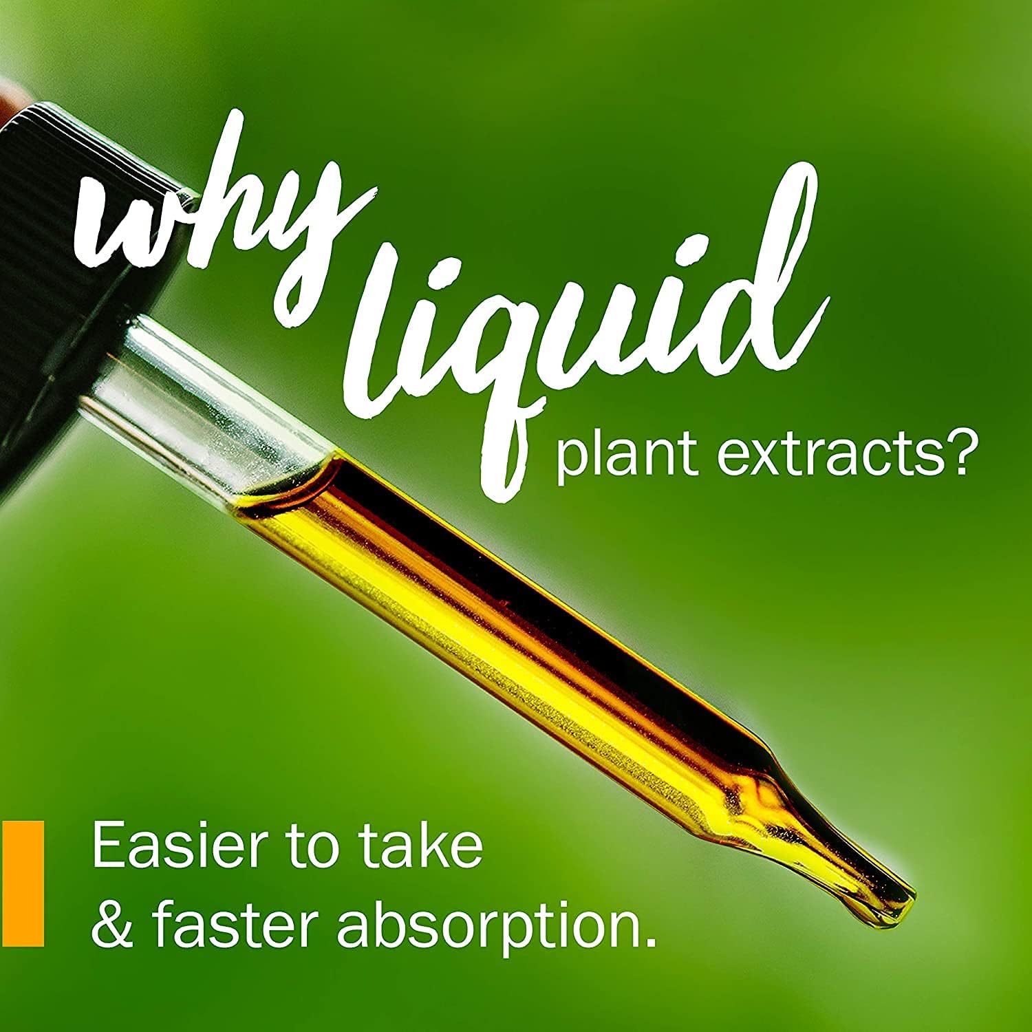 Herb Pharm Uva Ursi Liquid ExtraCount for Urinary System Support, 1 Oz