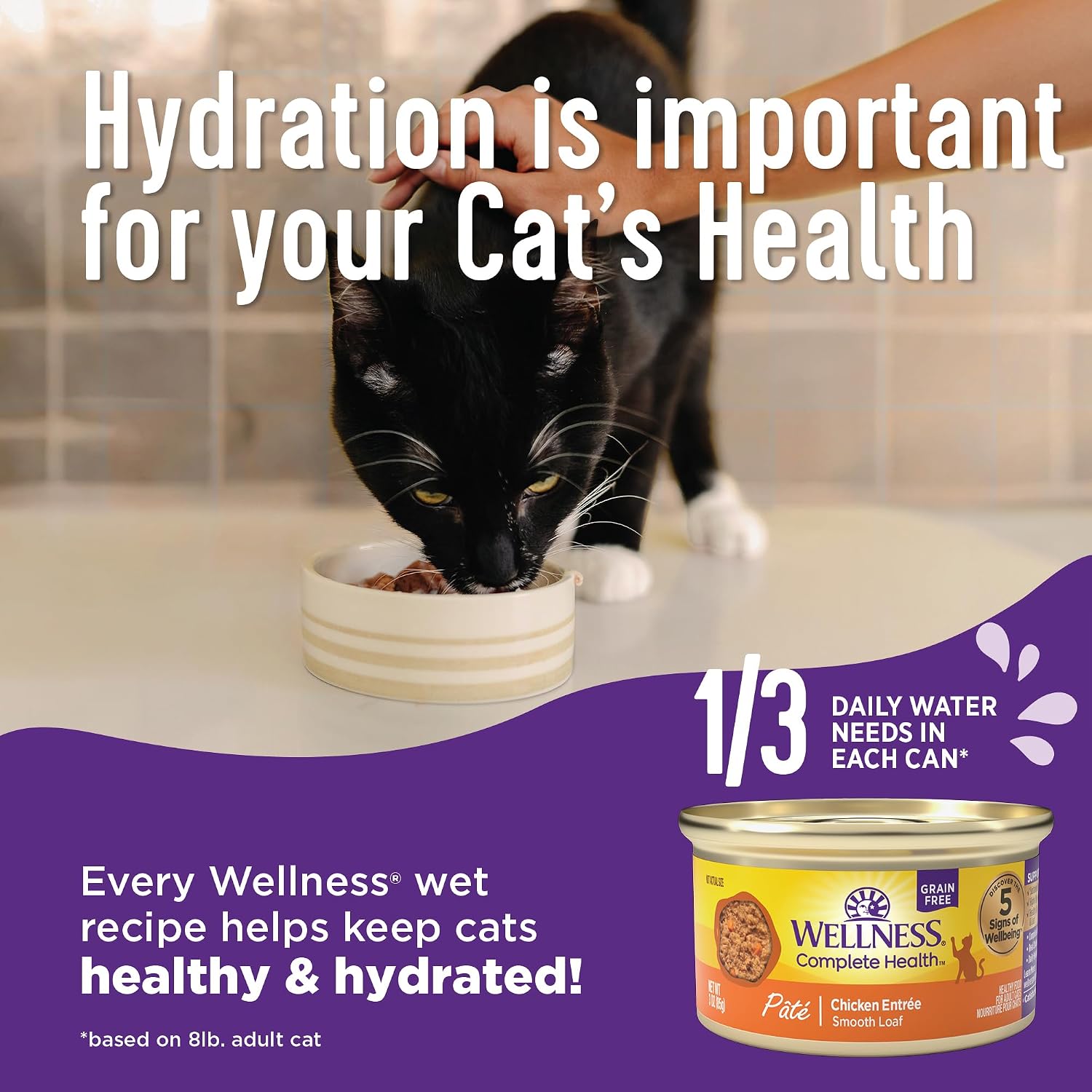 Wellness Complete Health Pate Variety Pack Adult Canned Wet Cat Food, Natural, Protein Rich, Grain Free, Chicken and Turkey Favorites, 3 oz