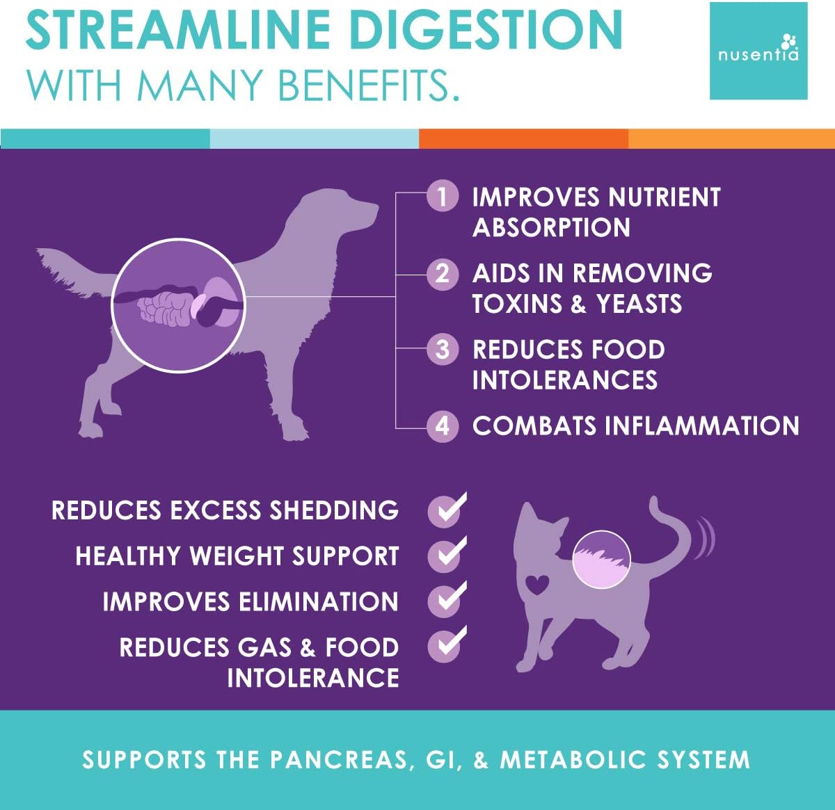 Enzymes for Cats & Dogs : Enzyme Miracle® (100 Servings) : for Digestive Stress, Pancreatic Concerns, and Healthy Weight Management.
