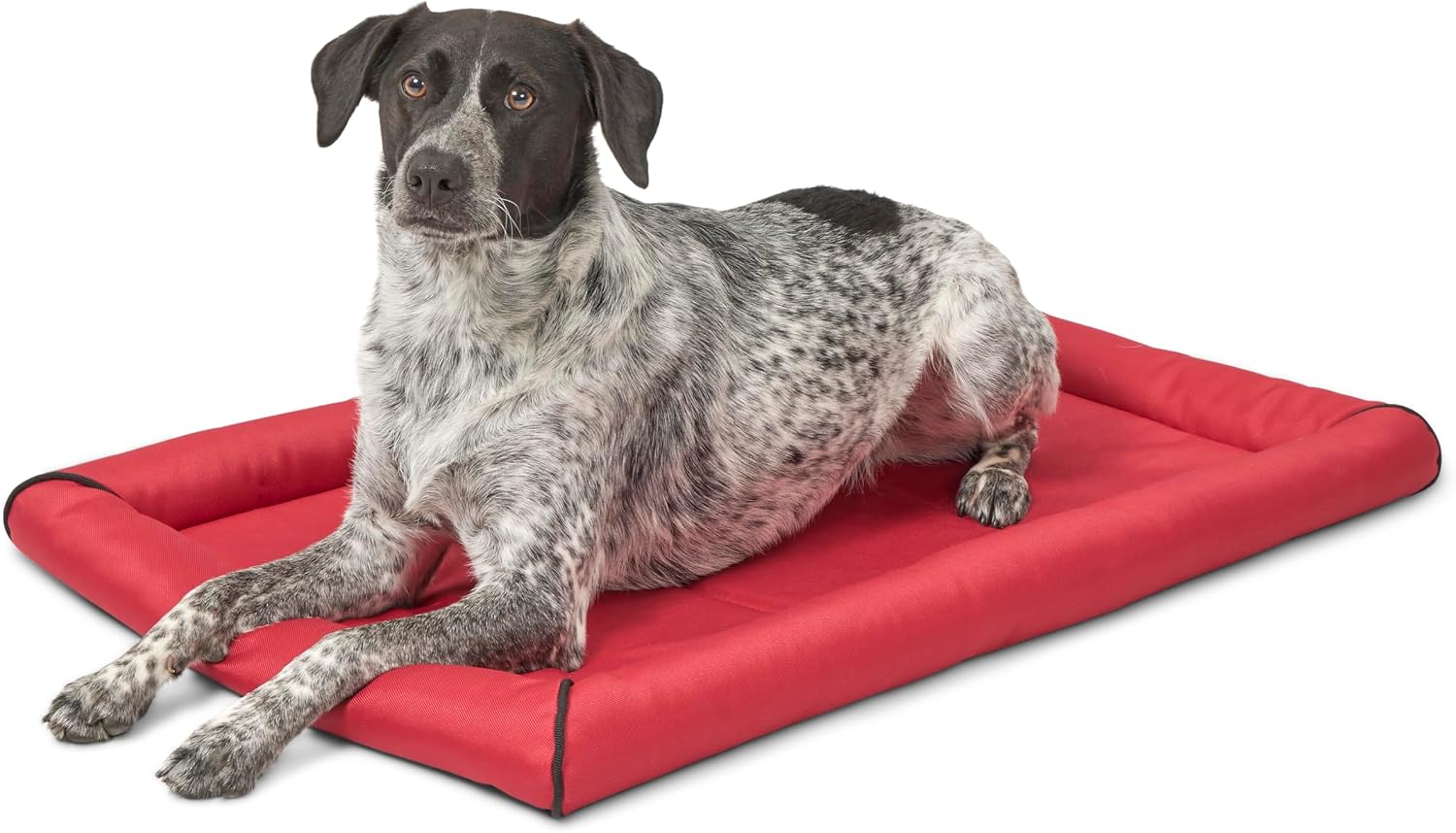 MidWest Homes for Pets Intermediate QuietTime MAXX Ultra-Rugged Dog Bed, Water & Odor Resistant, Bolstered Edge, Non-Slip Bottom, Fits 36-inch Crates, Black