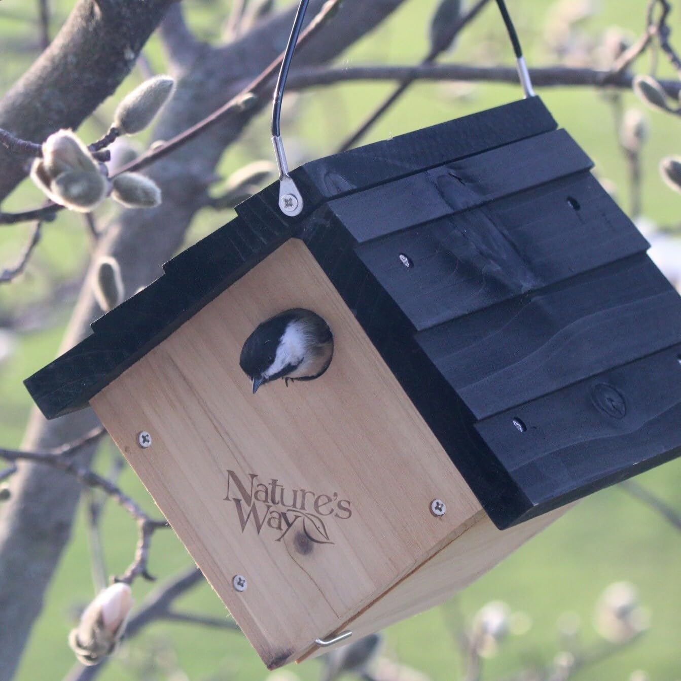 Nature's Way Bird Products CWH1 Cedar Wren House, 8" x 8.875" x 8.125", standard, Brown