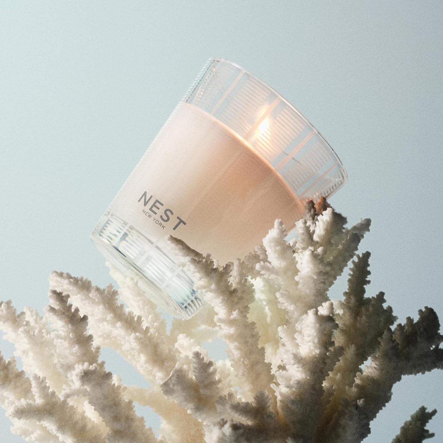 NEST New York Scented Classic Candle, Grapefruit - 8.1 oz - Up to 60-Hour Burn Time - Reusable Glass Vessel
