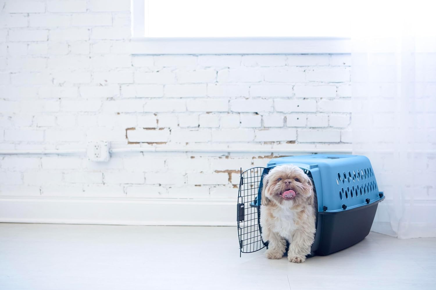 Petmate Fashion Vari Kennel, 19", for Dogs Up to 10 Lbs, 19.1"L x 12.6"W x 10.0"H, Made in USA