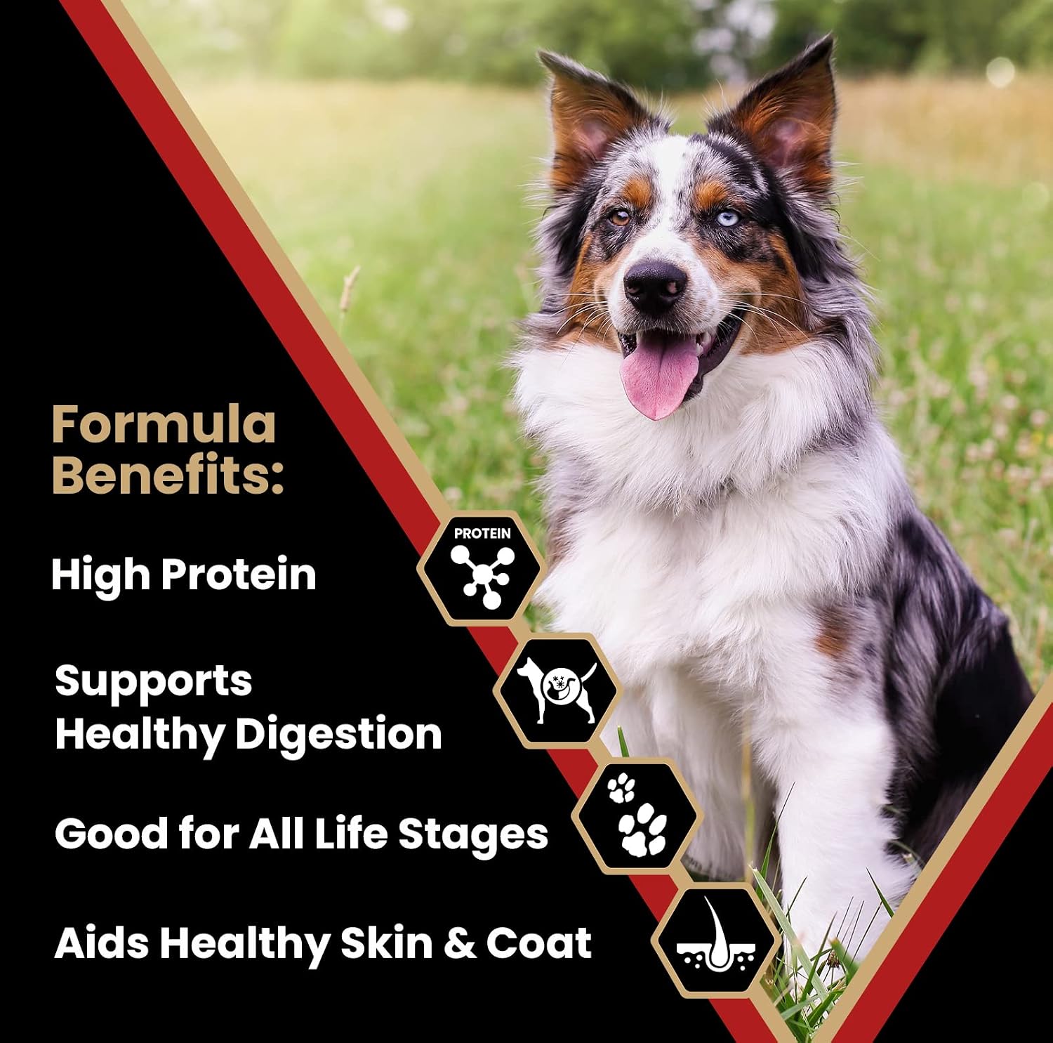 VICTOR Purpose Nutra Pro Dry Dog Food - High Protein Gluten-Free, 40 lb | Super Premium Dog Food, Low Carb Dry Kibble, For Active Dogs of All Ages, For Sporting, Pregnant or Nursing Dogs & Puppies
