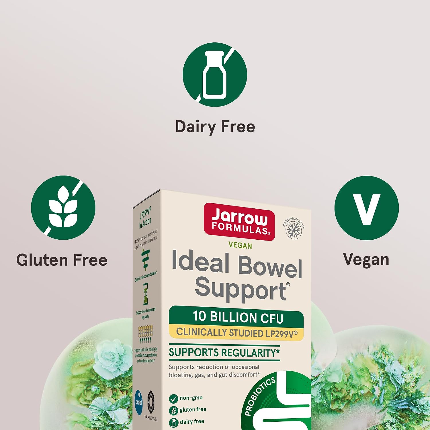 Jarrow Ideal Bowel Support, Probiotic 10 Billion CFU, 30 Capsules | Probiotic Capsules With 10 Billion CFU Per Serving