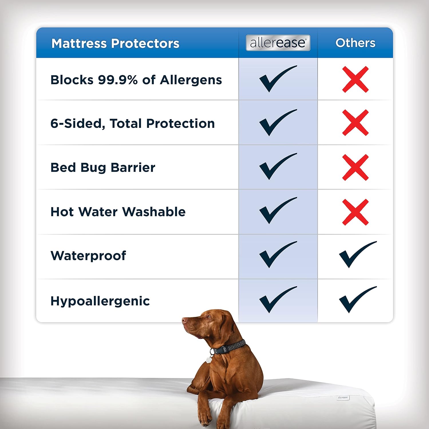 AllerEase Maximum Allergy Mattress Protector, Queen Size
