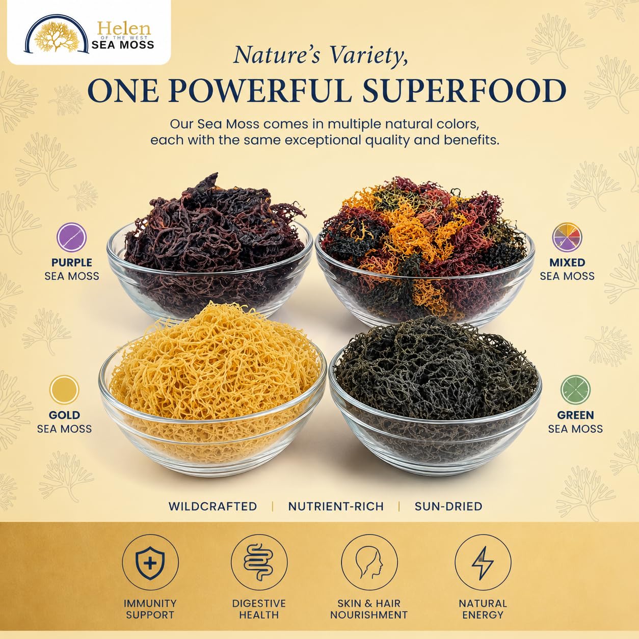 Wildcrafted Sea Moss | Gold - Purple - Green - Mixed | 100% Natural Irish Moss from St.Lucia | Mineral-Rich Superfood | 8oz Sun-Dried Moss | NO