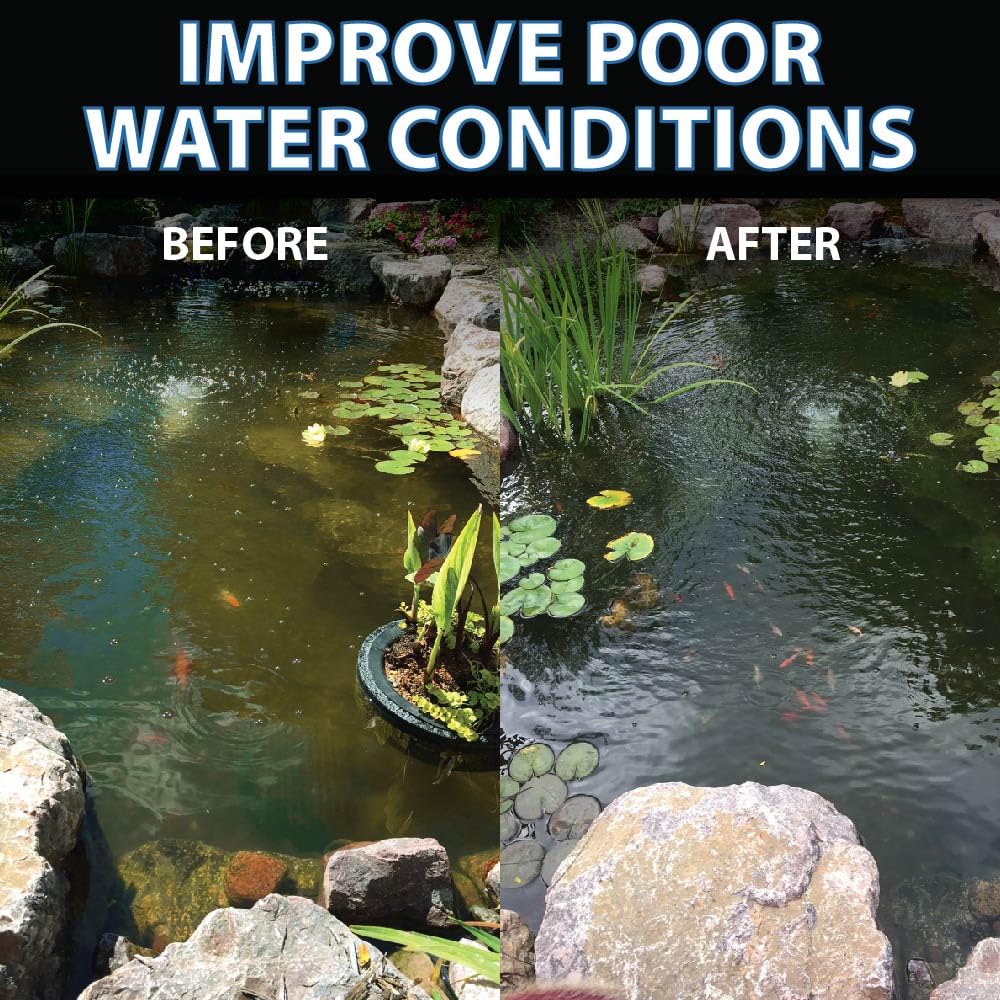 CrystalClear PondShock Ball Freshwater Clarifier