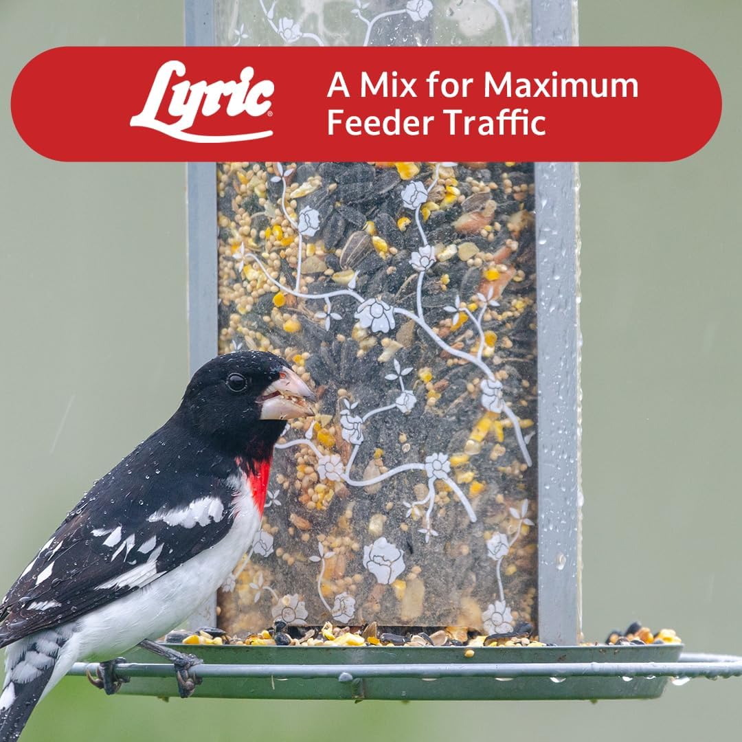 Lyric Supreme Wild Bird Seed