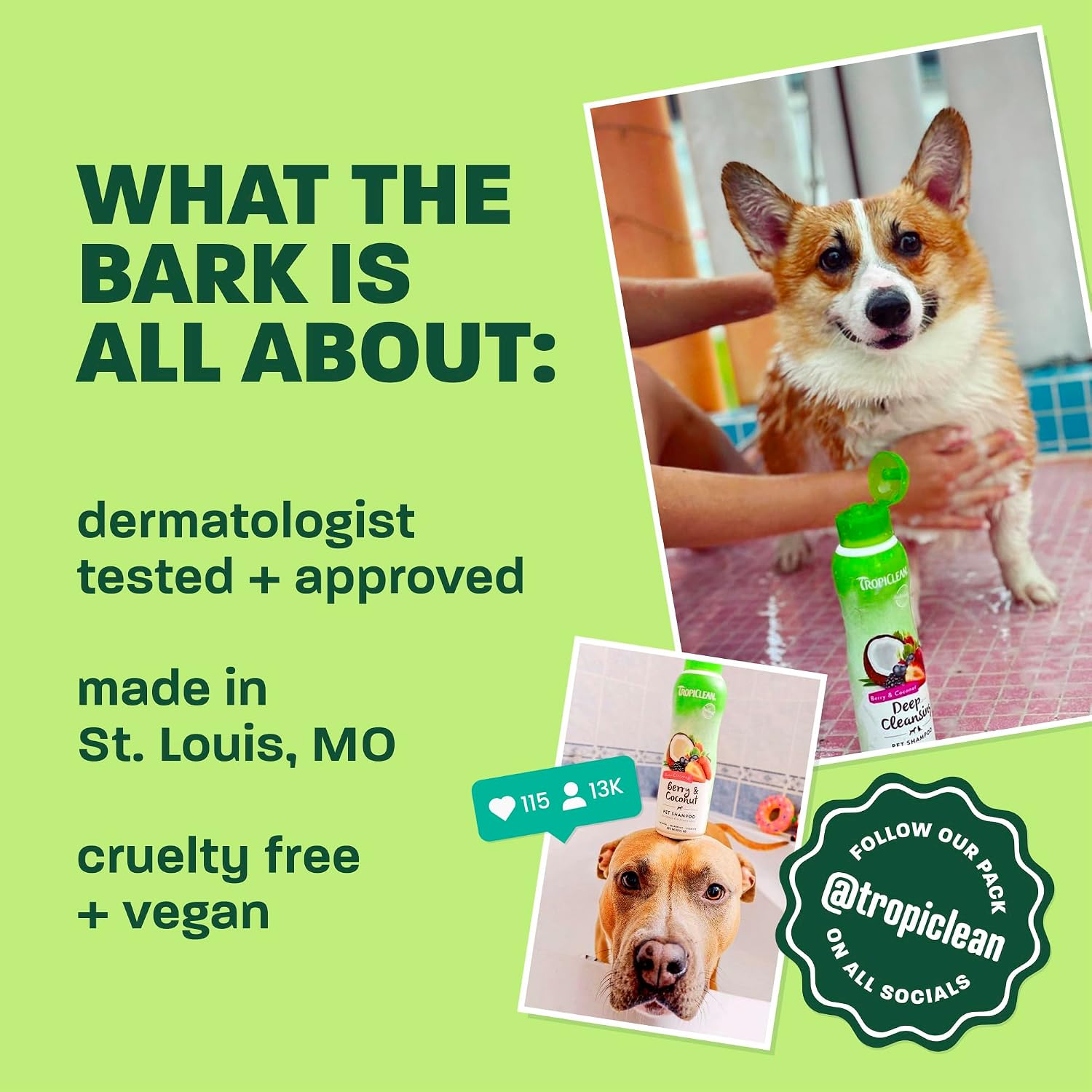 TropiClean Deodorizing Dog Shampoo for Smelly Pets, Professional Dog Shampoo, Long Lasting Odor Control, Puppy Safe, USA Made, Berry Scent, 1 Gal