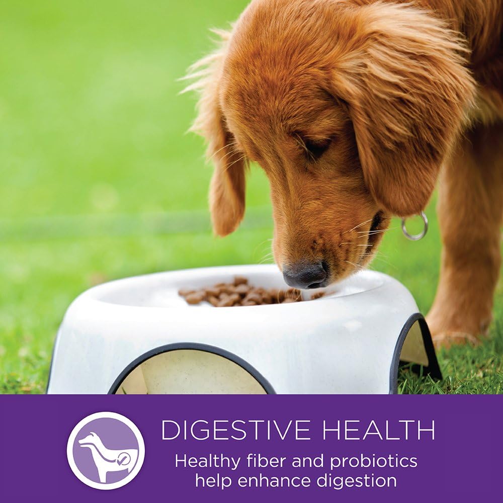 Wellness Complete Health Large Breed Puppy Dry Dog Food, Wholesome Grain Kibble, Natural, Chicken, Brown Rice and Salmon Meal Recipe, 30 lb Bag
