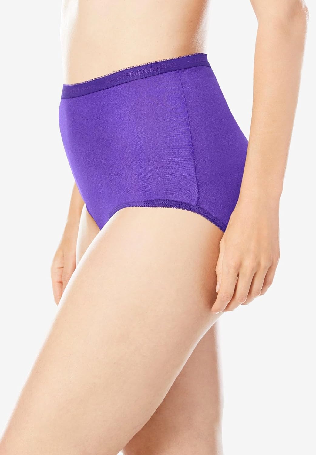 Comfort Choice Plus Size 5-Pack Classic Silky Nylon Brief