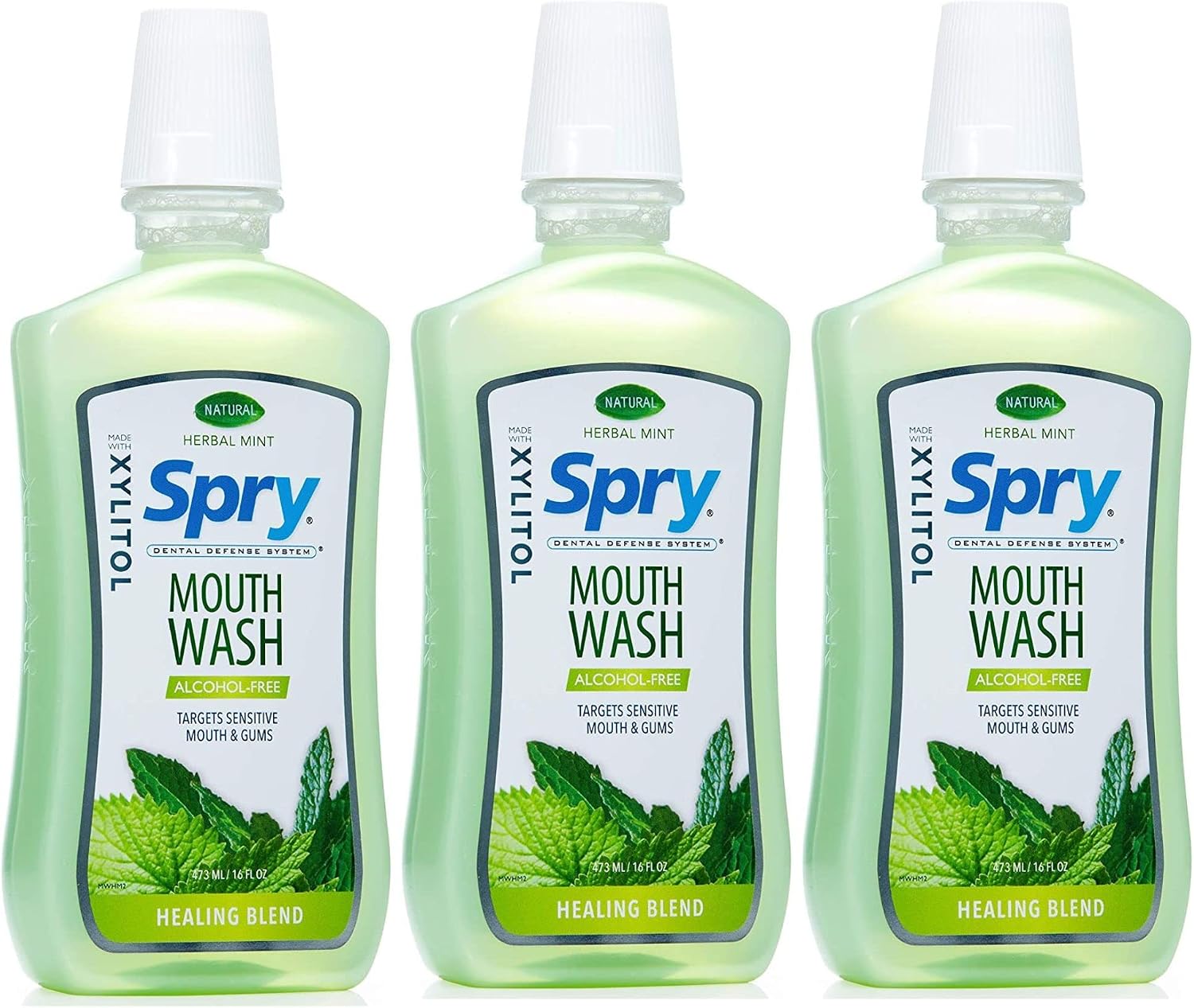 Spry Natural Xylitol Oral Rinse Mouthwash, Spearmint - 16 fl oz (Pack of 1) | Natural, Fluoride Free, Enamel Support, Low Alcohol, Gentle for Sensitive Mouth and Gum, Non-GMO, No Burn