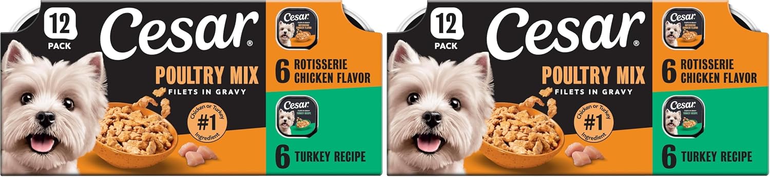 Cesar Filets in Gravy Wet Dog Food, Steak Mix Variety, 3.5 oz, 24 Count | Filet Mignon, New York Strip & Prime Rib, real meat, slow-cooked, no fillers/added sugar/artificial flavors, easy peel trays