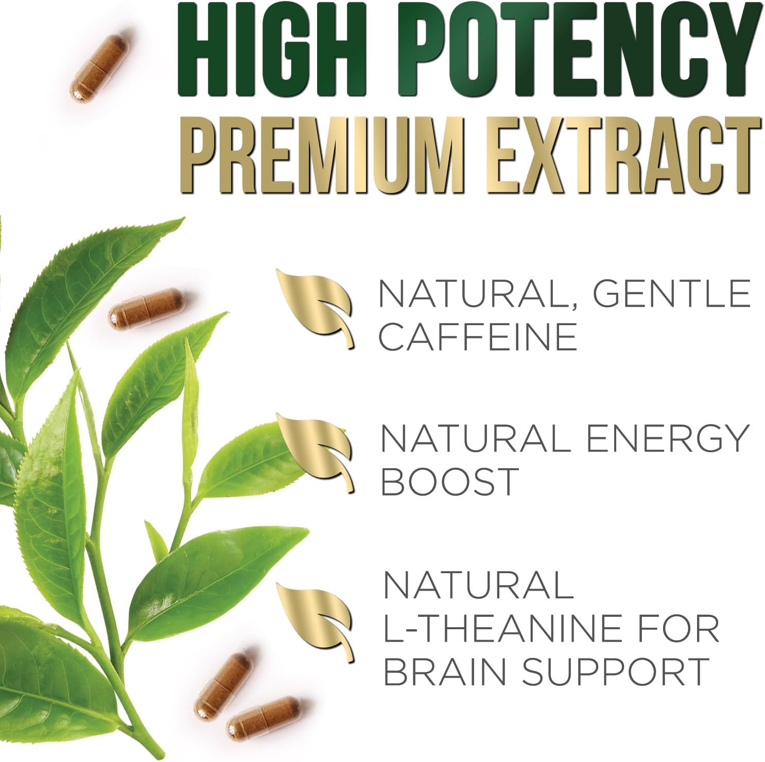 Green Tea Extract Capsules - 3X Strength Green Tea Extract 1000 mg Per Serving Pills with 45% EGCG & 98% Polyphenols for Natural Energy - Antioxidant Herbal Heart Support Supplement - 240 Capsules
