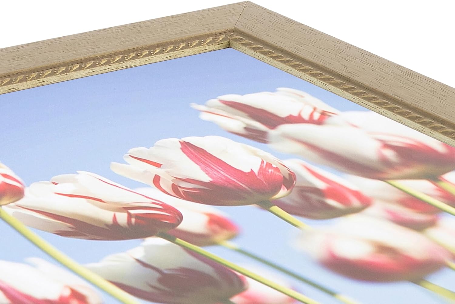ArtToFrames 28x35 Inch Gold Picture Frame