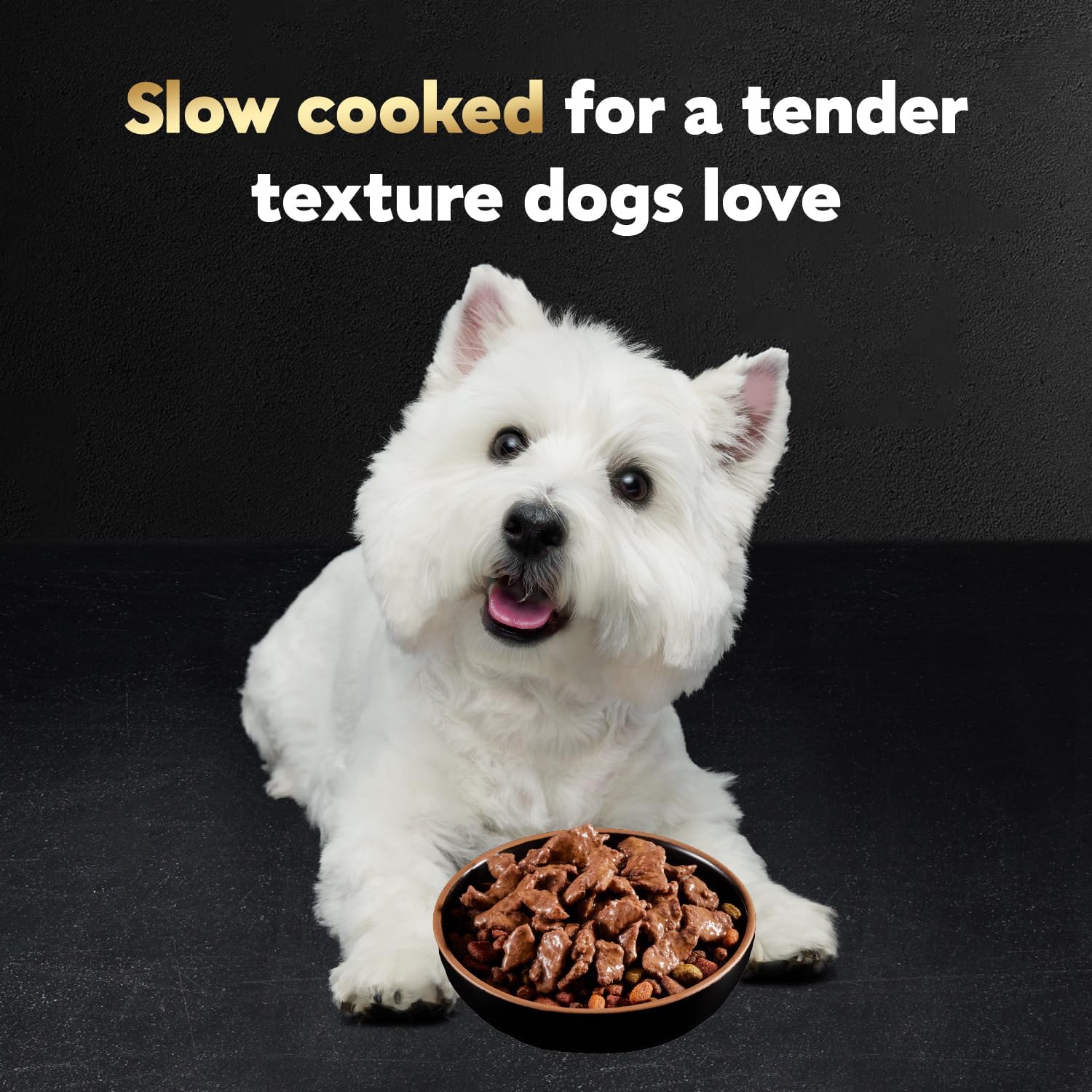 Cesar Filets in Gravy Wet Dog Food, Steak Mix Variety, 3.5 oz, 24 Count | Filet Mignon, New York Strip & Prime Rib, real meat, slow-cooked, no fillers/added sugar/artificial flavors, easy peel trays