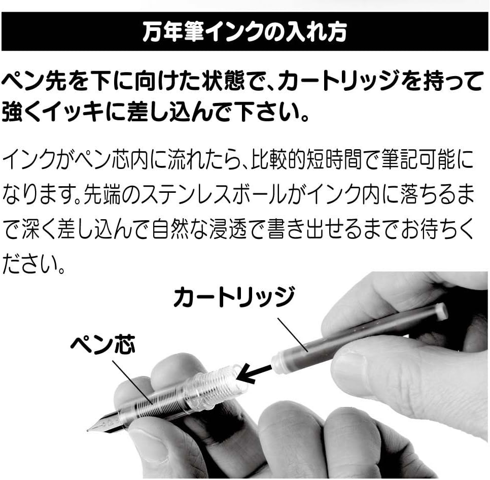 Platinum Plaisir Medium Nib Fountain Pen, Black (PGB-1000-#1-M)
