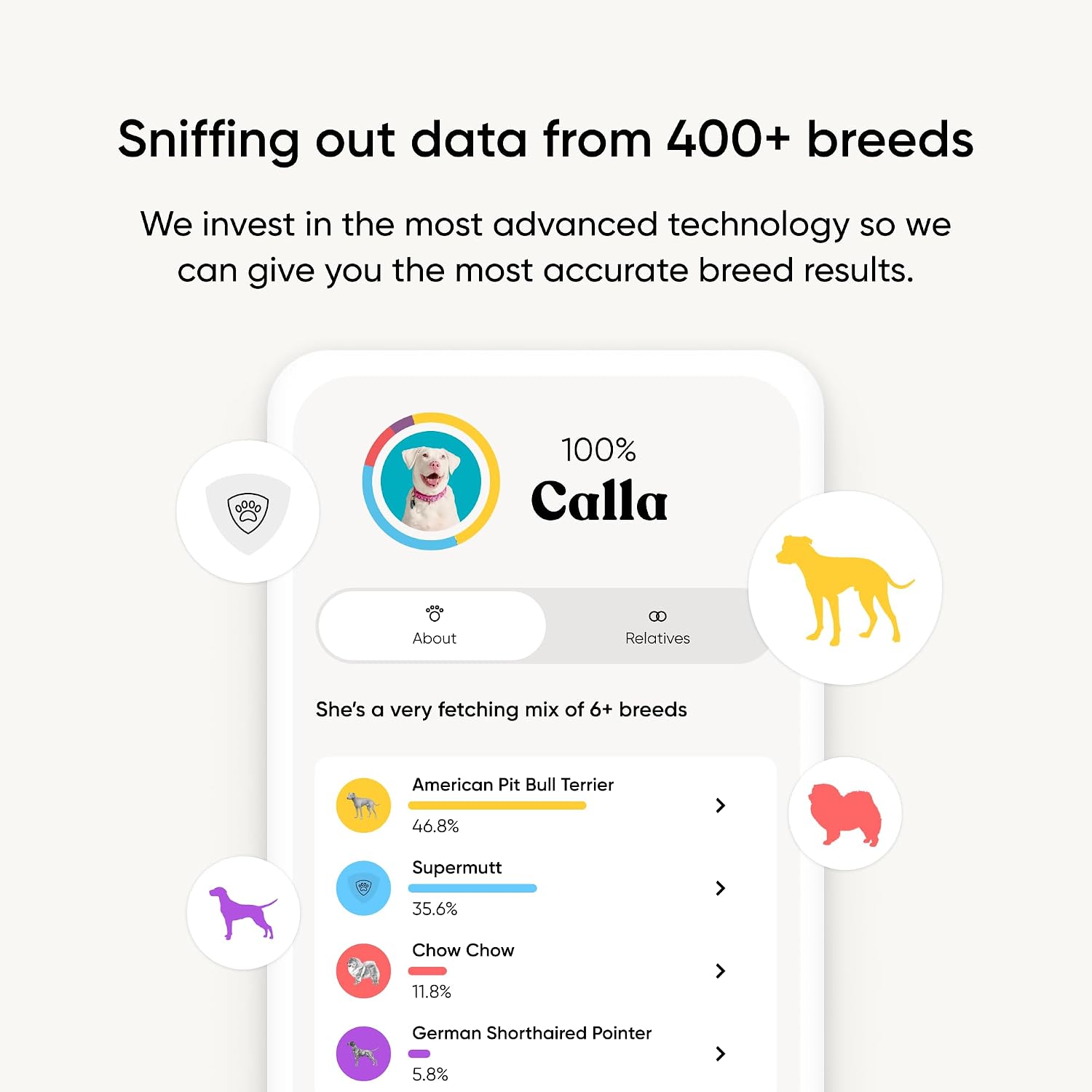 Embark Breed ID Dog DNA Test Kit – 400+ Breeds, 99% Breed Accuracy | Dog DNA testing kit for mixed breeds. Ancestry to great-grandparents