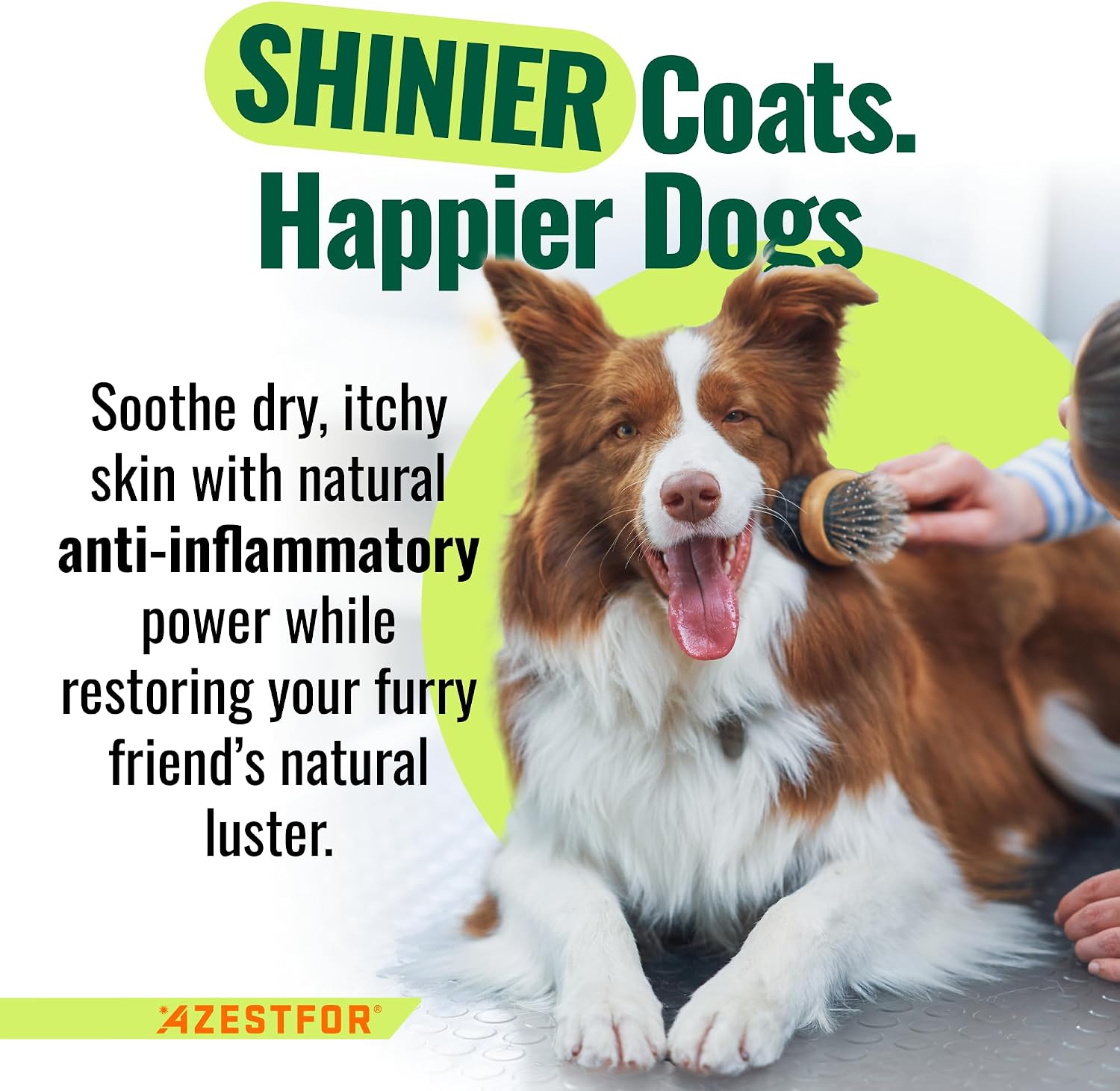 Anti-Inflammatory Green Lipped Mussel for Dogs Powder