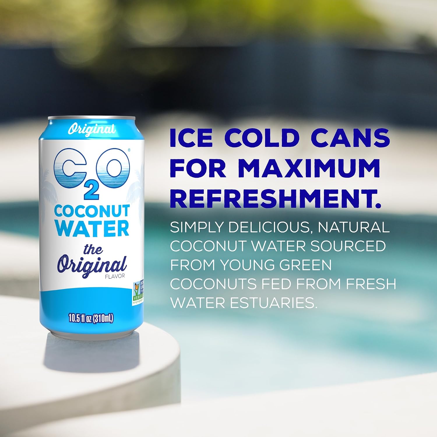 C2O - Coconut Water with Pineapple (12 Pack) - Made with Fresh Coconut Water - Plant Based - Non GMO - Canned Water - Natural Hydration, Essential Electrolytes, & Potassium - 12 Cans, 17.5 FL OZ