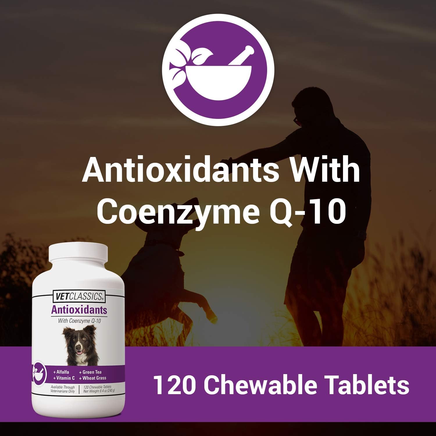 Coenzyme Q-10 Antioxidant Dog Supplement – Pet Health Supplement for Dogs – Supports Overall Dog Wellness, Aging – Includes Green Tea, Vitamin C