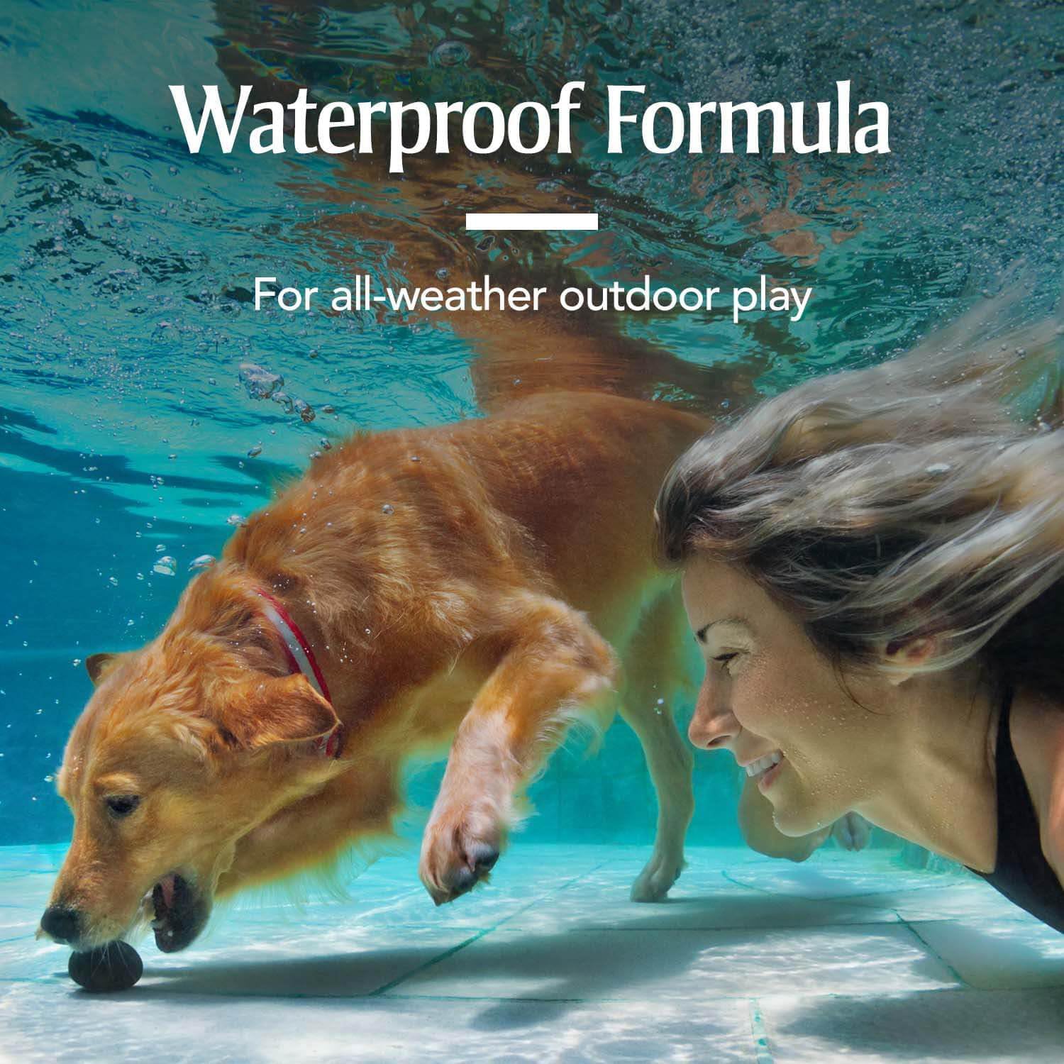 PetArmor Flea & Tick Topical Dogs 45-88 lbs, Fipronil, 3-Month | Ideal for Large Dogs 45-88 lbs; Kills Adult Fleas in 24-48 hrs; 3-month supply; Vet-Quality, No Rx Needed
