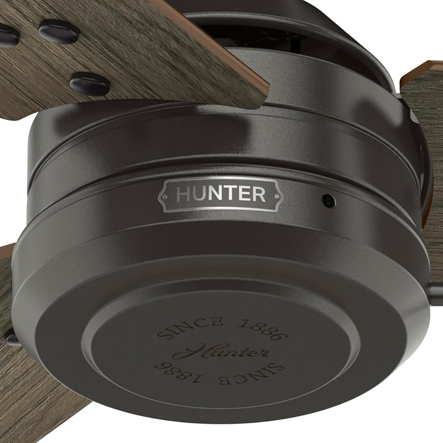 Hunter Cassius, Outdoor or Indoor, Ceiling Fan, 44 inch, Matte Black