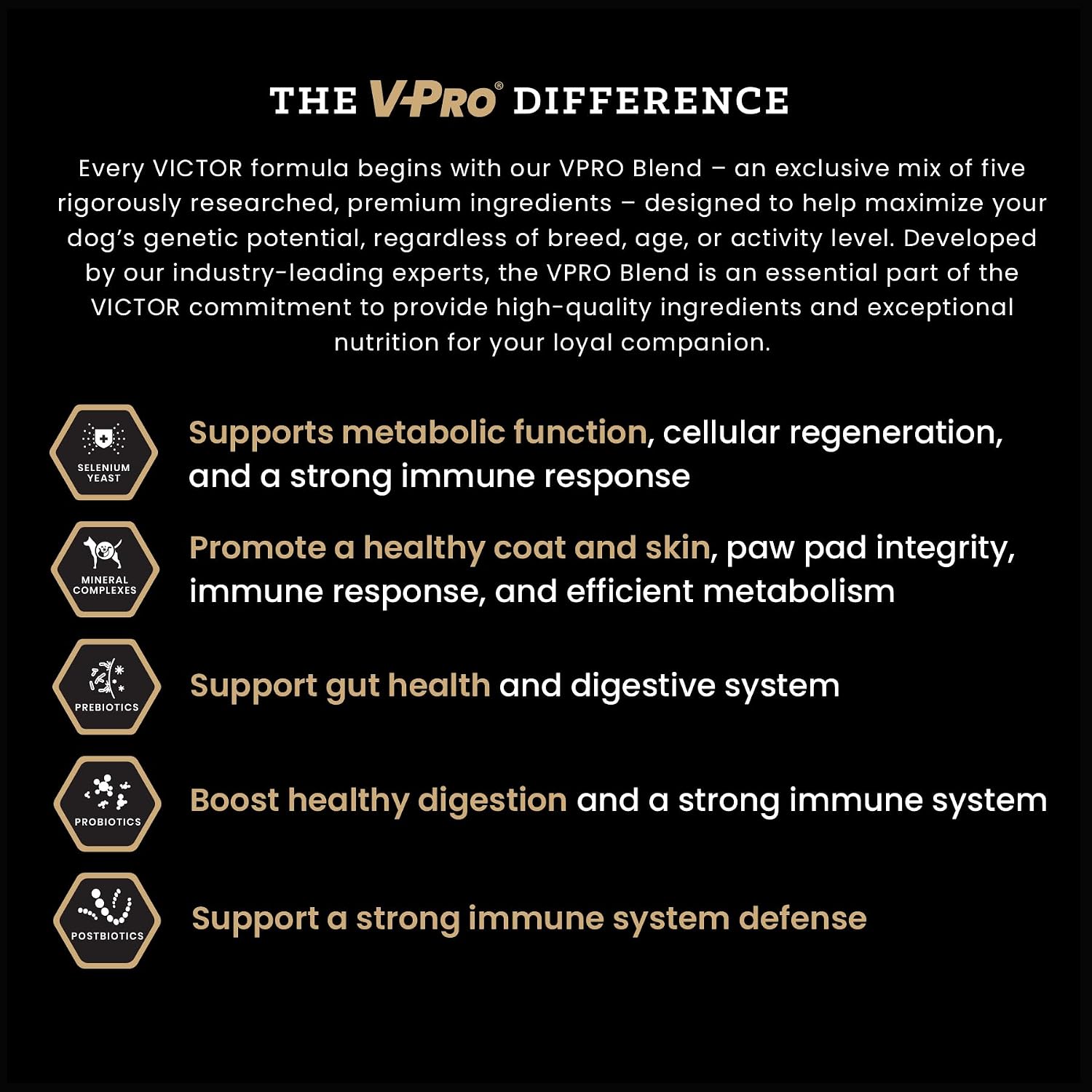 VICTOR Hi-Pro Plus Dry Dog Food - High Protein Gluten Free Dry Kibble, 5lb | Super Premium Dog Food, 30% Protein, Beef, Chicken, Pork and Fish Meals, For High Energy & Active Dogs & Puppies, 5lbs