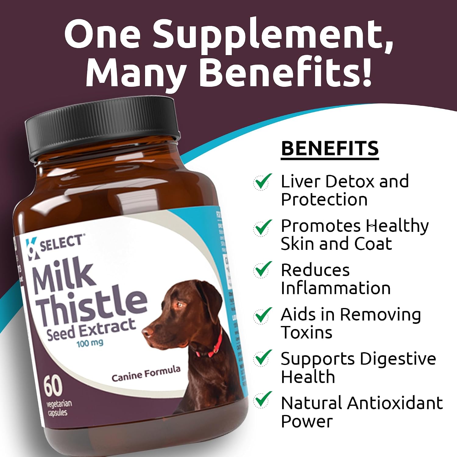 Milk Thistle for Dogs, 100mg - 60 Vegetable Capsules - Canine Liver Health Milk Thistle Supplement - Milk Herbal