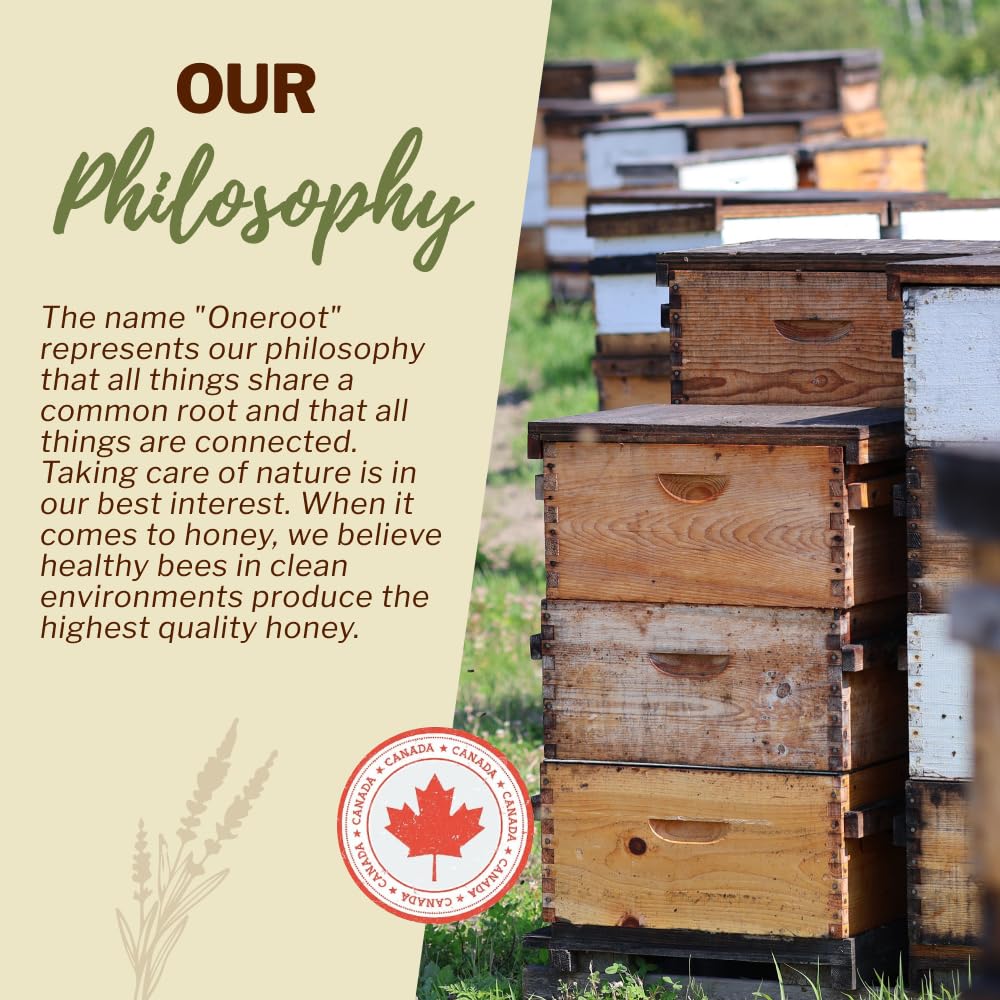 OneRoot Raw Buckwheat Honey – 500g / 17.6oz, Unheated & Unprocessed Dark – Nutrient-Rich, Antioxidant-Packed Natural Sweetener – Pure & Unfiltered Honey