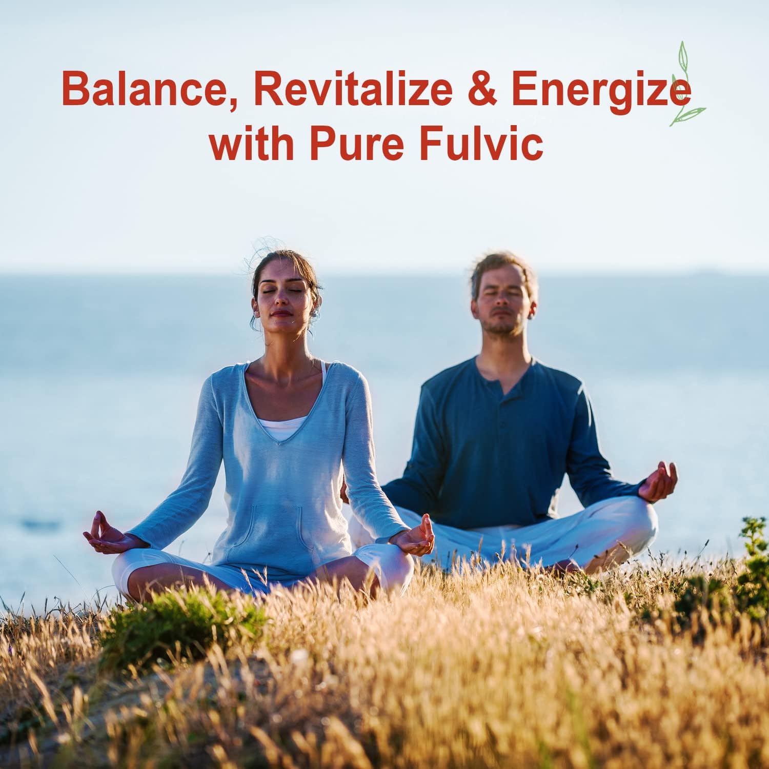 Vital Earth Minerals Fulvic Minerals Liquid – Fulvic Acid Supplement with 70+ Trace Minerals, Electrolytes for Energy & Vitality, 32 Oz + 1 Oz Cup