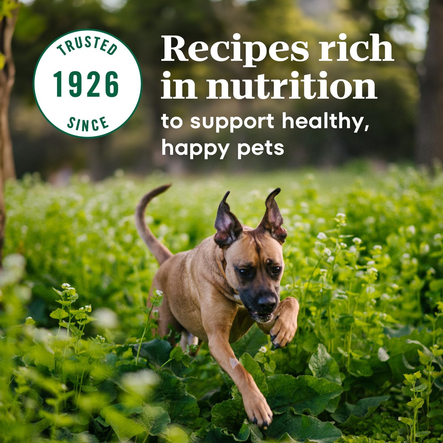 Nutro Max Puppy Recipe Dry Dog Food, Farm-Raised Chicken, 12 lb | 100% complete & balanced, omega 3 & 6 fatty acids, supports digestion & skin, no artificial preservatives or colors