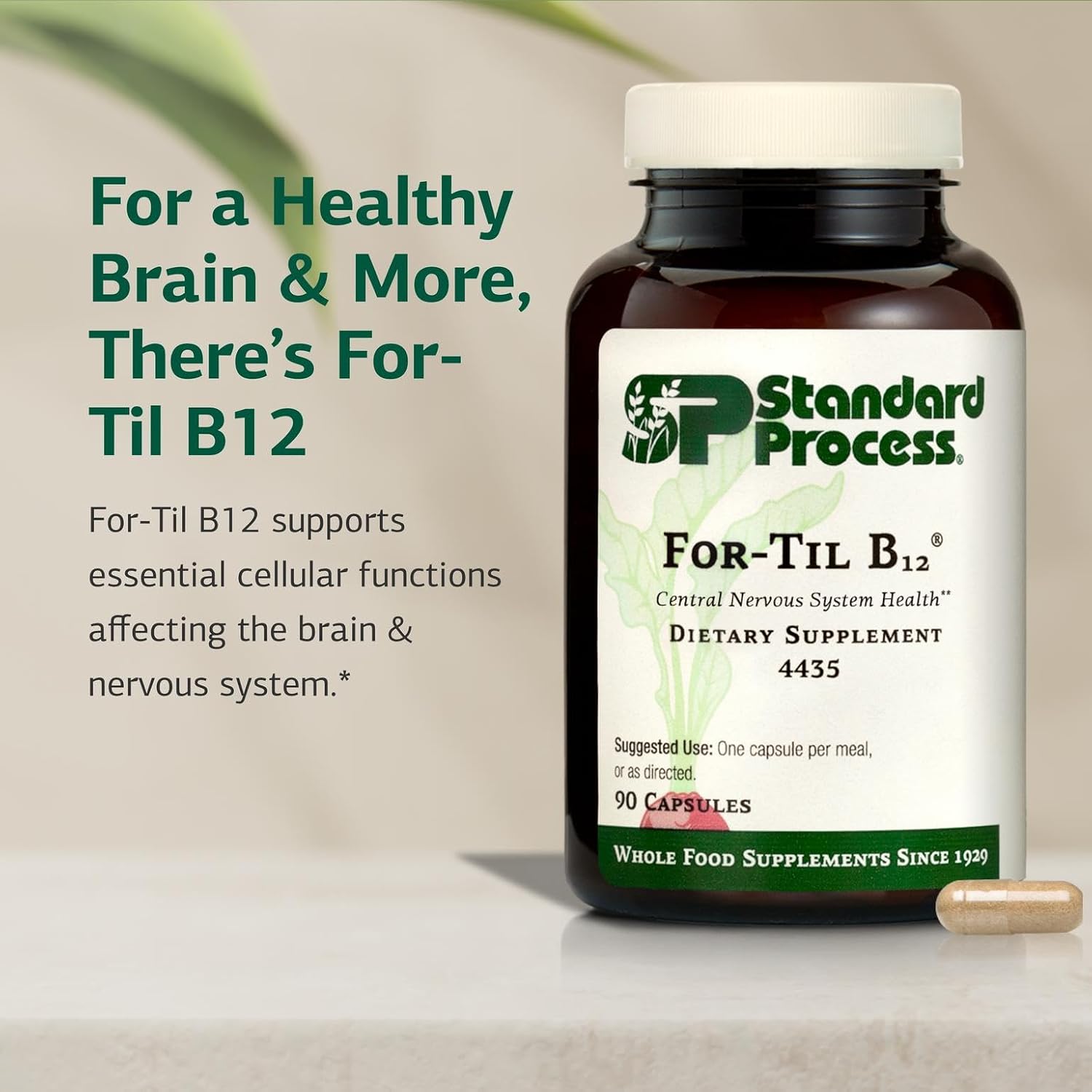Standard Process - for-Til B12 - Vitamin B12 Supplement for Brain & Nervous System Support - Immune Health & Cellular Function - Non-Dairy & Non-Soy