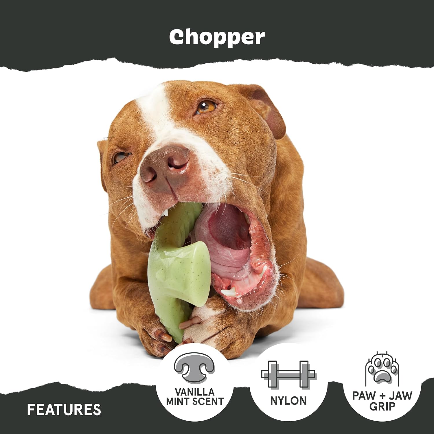 BarkBox Turkey Super Chewer - Toy for Large Dogs