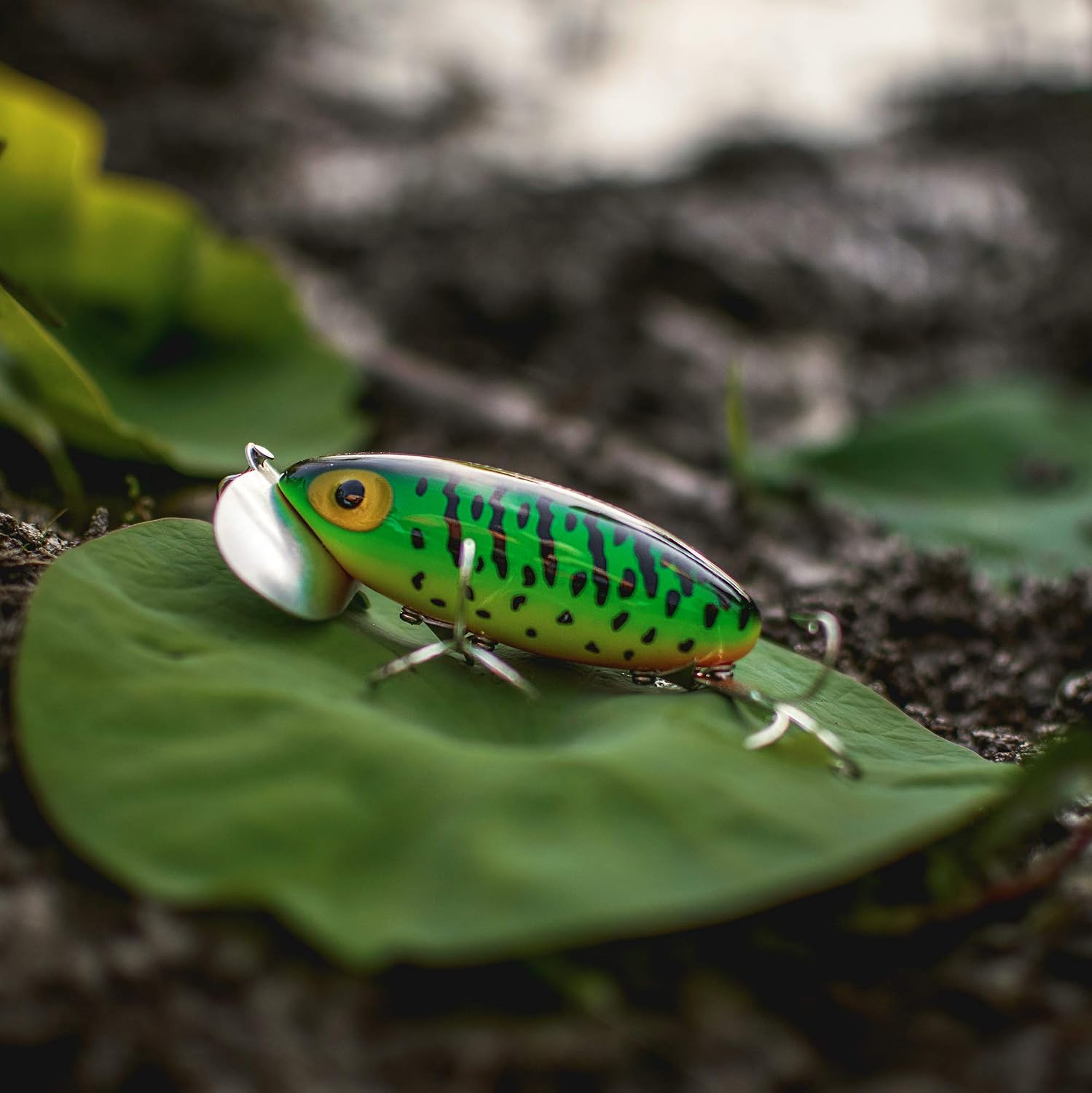 Arbogast Jitterbug Topwater Bass Fishing Lure - Excellent for Night Fishing