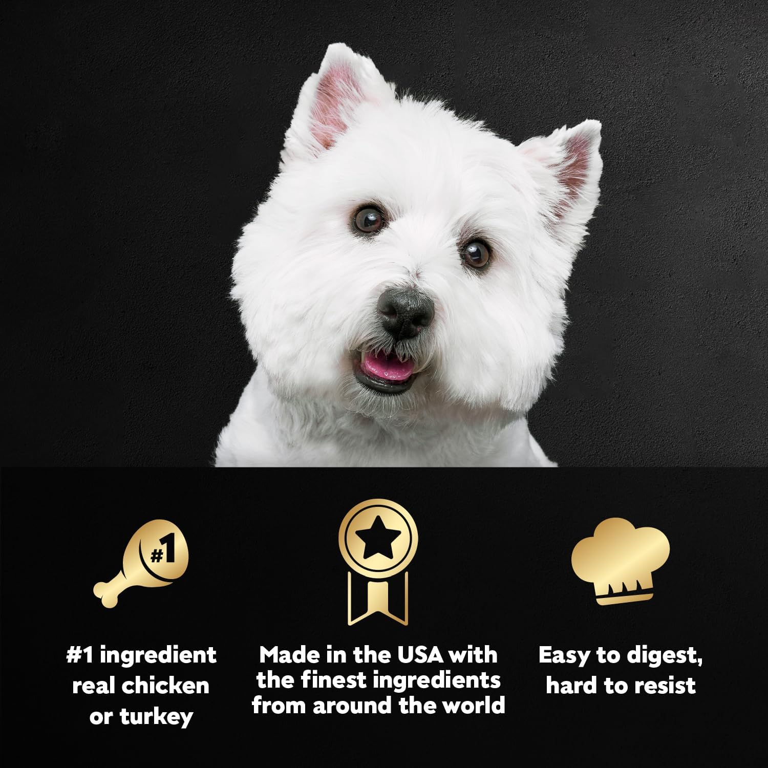 Cesar Filets in Gravy Wet Dog Food, Steak Mix Variety, 3.5 oz, 24 Count | Filet Mignon, New York Strip & Prime Rib, real meat, slow-cooked, no fillers/added sugar/artificial flavors, easy peel trays