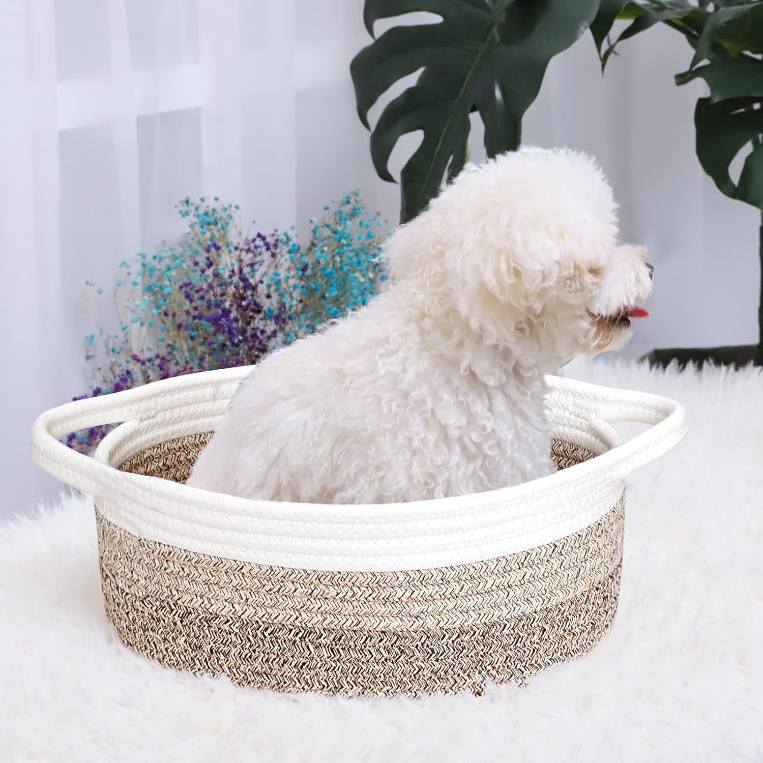 ABenkle Small Basket with Handles, Boho Decorative Rope Woven Dog Cat Toy Storage Bin Shelf Storage Organizer, Easter Christmas Gift Basket, 12"x8"x5"