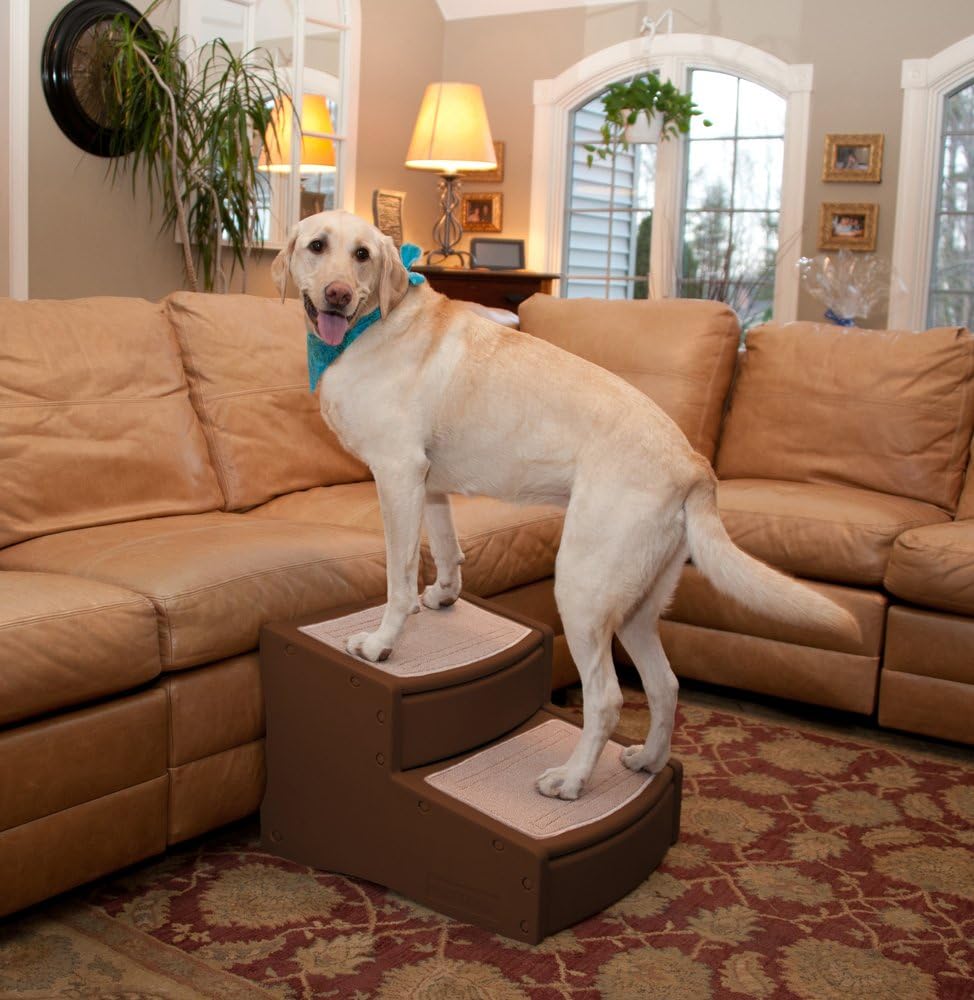 Pet Gear Easy Step II Extra Wide Pet Stairs, 2 Step for Dogs/Cats Up To 200 Pounds, Removable/Washable Carpet, Easy Assembly (No Tools Required)