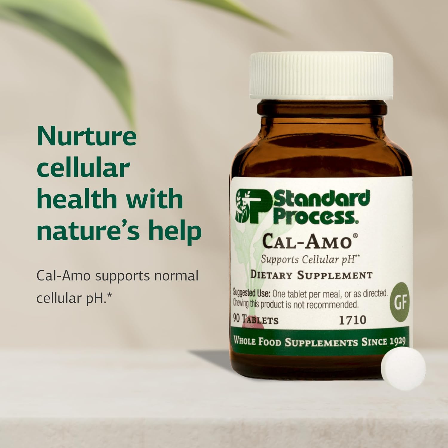 Standard Process Cal-Amo - Cellular Health Support Supplement - Lung Support Supplement with Calcium & Chloride - Support Healthy Respiratory