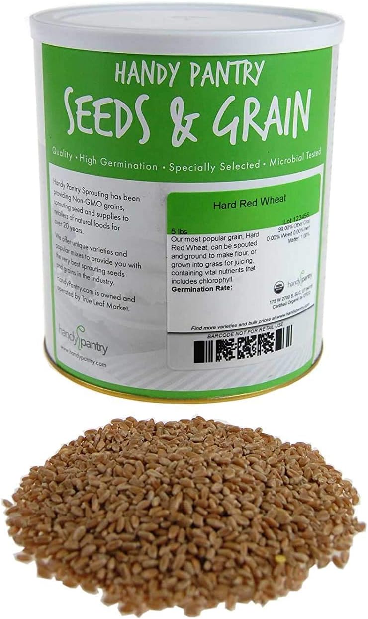 Handy Pantry Organic Hard Red Wheat Seeds – 5 Lb, Non-GMO, High Germination | Ideal for Wheatgrass, Flour, Bread, Grain, Sprouting