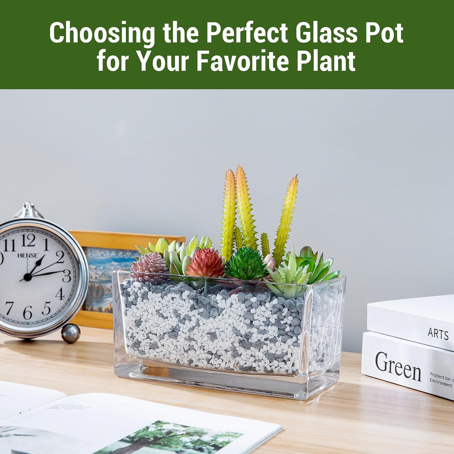 MyGift 7.8 Inch Modern Rectangular Glass Vase Trough Planter Terrarium | Clear Display Design, Tabletop Floral Centerpiece, Succulent Showcase