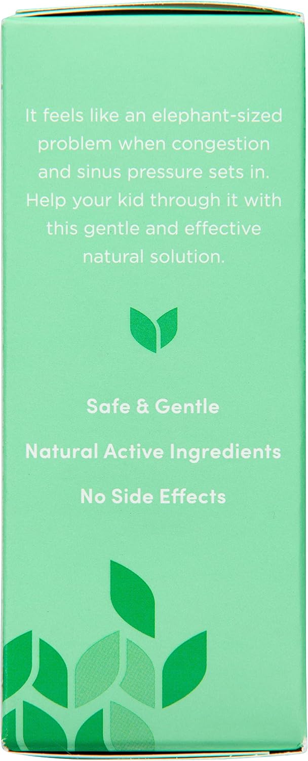 Hyland's Kids Stuffy Nose and Sinus Tablets, for Children Ages 2+, 50ct